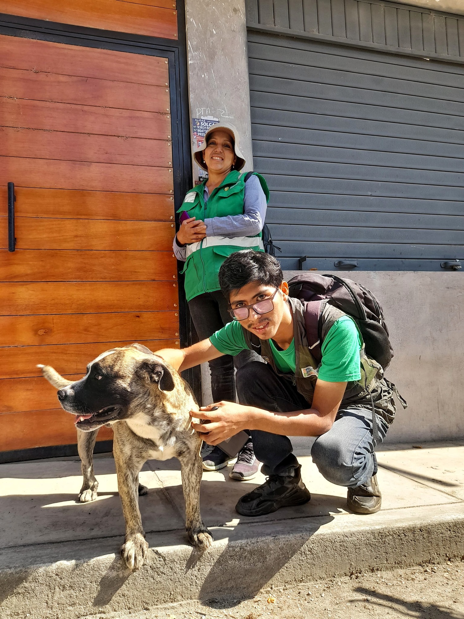 Inscripción y entrega de carnet de identificación de mascotas