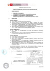 Vista preliminar de documento Proceso OCP N° 012-2019