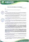 Vista preliminar de documento RESOLUCION-GERENCIA-MUNICIPAL-704-2024-GM-MDQ-LC