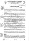 Vista preliminar de documento RESOLUCION DIRECTORAL N 426-2024-HSR-AND-DE