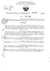 Vista preliminar de documento RDR 1828-2024