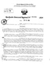 Vista preliminar de documento RDR 1832-2024