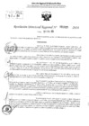 Vista preliminar de documento RDR 1835-2024