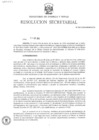 Vista preliminar de documento RS- N° 047-2024-MINEM-SG