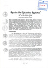 Vista preliminar de documento RER 450-2024-GOB