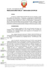 Vista preliminar de documento RD Nº D000134-2024-DE