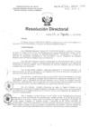 Vista preliminar de documento R.D N° 252-2016 pdf