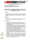 Vista preliminar de documento DIRECTIVA-000008-2024-SEC GRAL