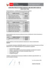 Vista preliminar de documento RESULTADO FINAL 009-2024