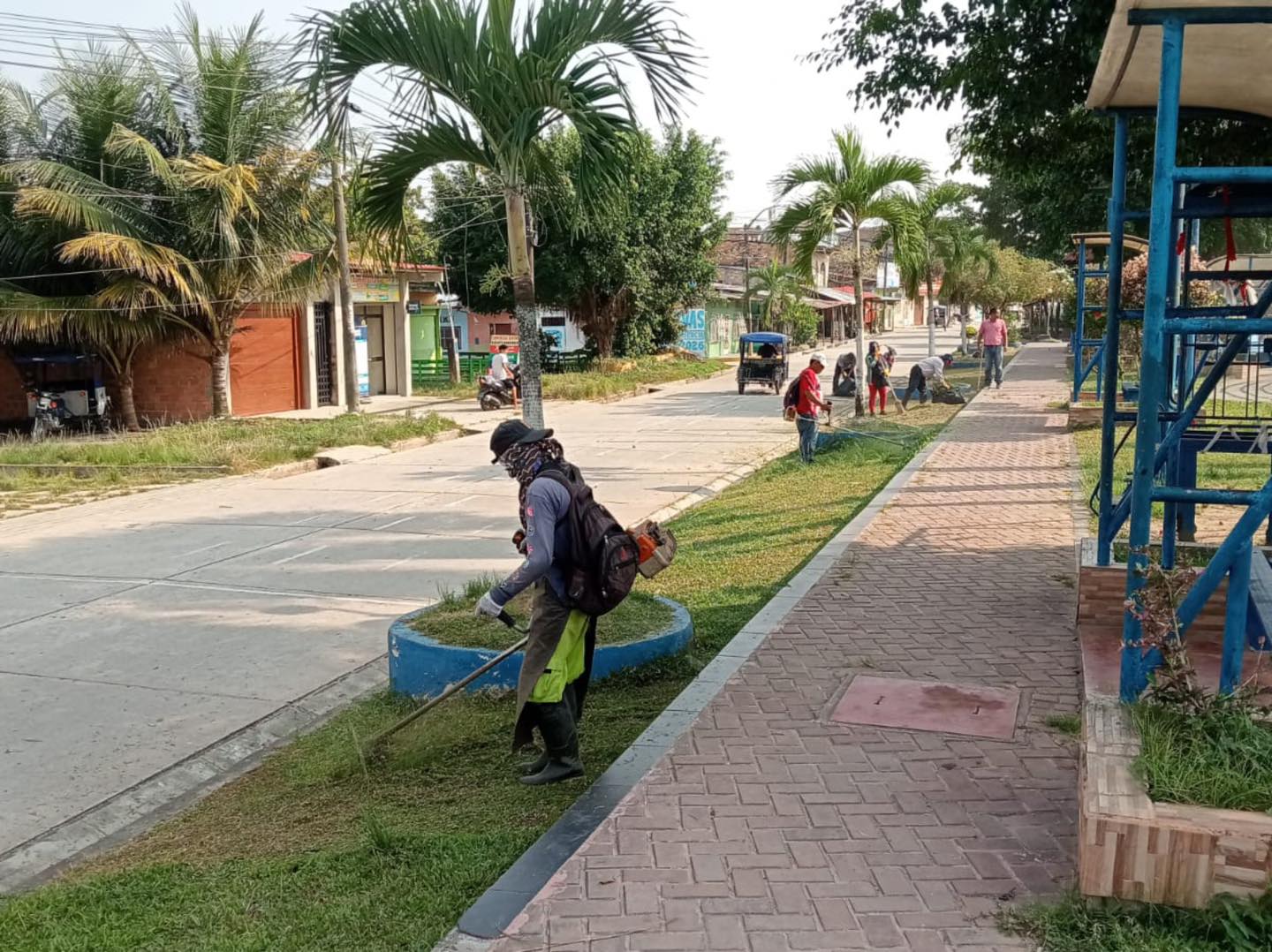 limpieza exhaustiva de la Plaza Cardama