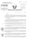Vista preliminar de documento R.D N° 197-2016 pdf 