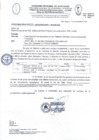 Vista preliminar de documento Documento 161