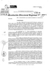 Vista preliminar de documento RDR 3406-2024