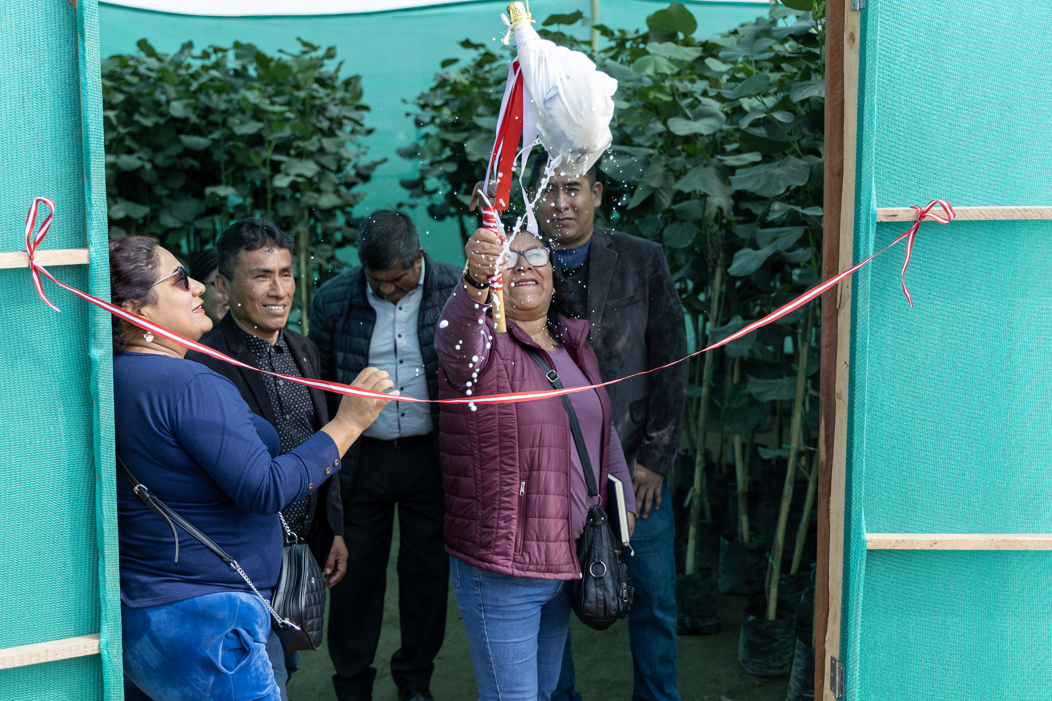 Municipalidad Distrital de Chilca inaugura ‘Vivero Municipal’ para fomentar el desarrollo sostenible y ambiental.