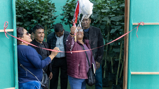 Municipalidad Distrital de Chilca inaugura ‘Vivero Municipal’ para fomentar el desarrollo sostenible y ambiental.