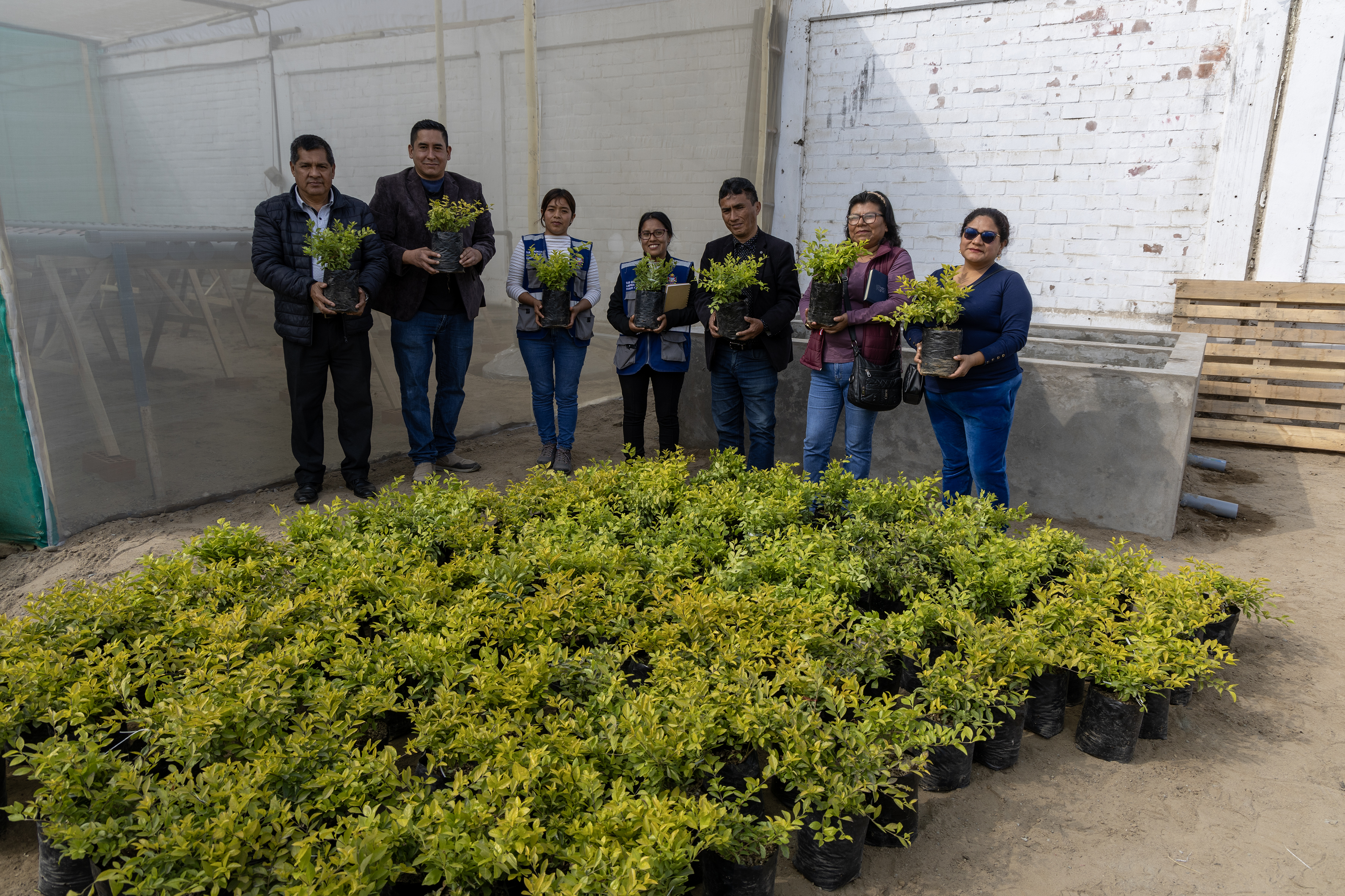 Municipalidad Distrital de Chilca inaugura ‘Vivero Municipal’ para fomentar el desarrollo sostenible y ambiental.