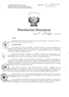 Vista preliminar de documento R.D N° 143-2016 pdf