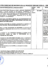 Vista preliminar de documento Actividades del Proceso Serums 2024-II