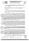 Vista preliminar de documento RGGR0439-2024