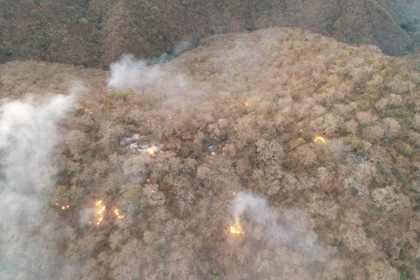Fuerza Aérea del Perú lanzó 5 mil litros de agua en focos del incendio forestal en Tumbes