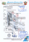 Vista preliminar de documento INFORME N°103.2024.MDSJUT