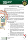 Vista preliminar de documento RESOLUCION GERENCIAL N° 00792-2024-GM-MPS