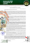 Vista preliminar de documento RESOLUCION GERENCIAL N° 00795-2024-MPS-GM