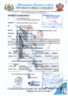 Vista preliminar de documento INFORME N.º 0115.2024.MDS.JUT