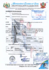 Vista preliminar de documento INFORME N°129.2024.MDSJUT