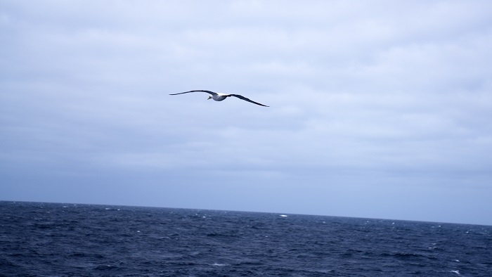 expedicion dorsal
