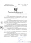 Vista preliminar de documento R.D N° 022-2016-1 pdf