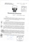 Vista preliminar de documento R.D N° 418-2015 pdf 