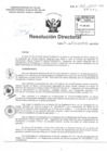 Vista preliminar de documento R.D N° 411-2015 pdf 