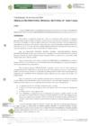 Vista preliminar de documento R.D.R.S N° 17