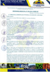Vista preliminar de documento Ordenanza Municipal Nº 006-2024-CM/MPH-M