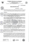 Vista preliminar de documento RESOLUCION DIRECTORAL N 430-2024-HSR-AND-DE