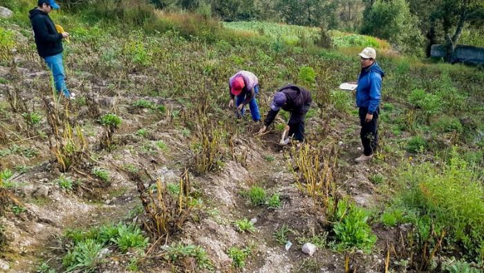 Gobierno indemniza a más de 100 mil productores agrarios por más de S/ 35 millones durante la campaña 2023 – 2024