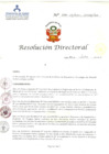 Vista preliminar de documento RD N° 233-07-2011-HCLLH-SA