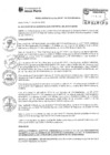 Vista preliminar de documento RA-100-2024-MDJM