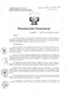 Vista preliminar de documento R.D N° 392-2015 pdf 