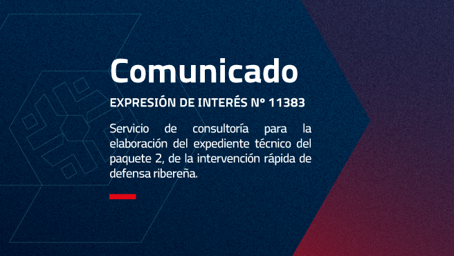 “SERVICIO DE CONSULTORÍA PARA LA ELABORACIÓN DEL EXPEDIENTE TÉCNICO DEL PAQUETE 2, 
DE LA INTERVENCIÓN RÁPIDA DE DEFENSA RIBEREÑA”.