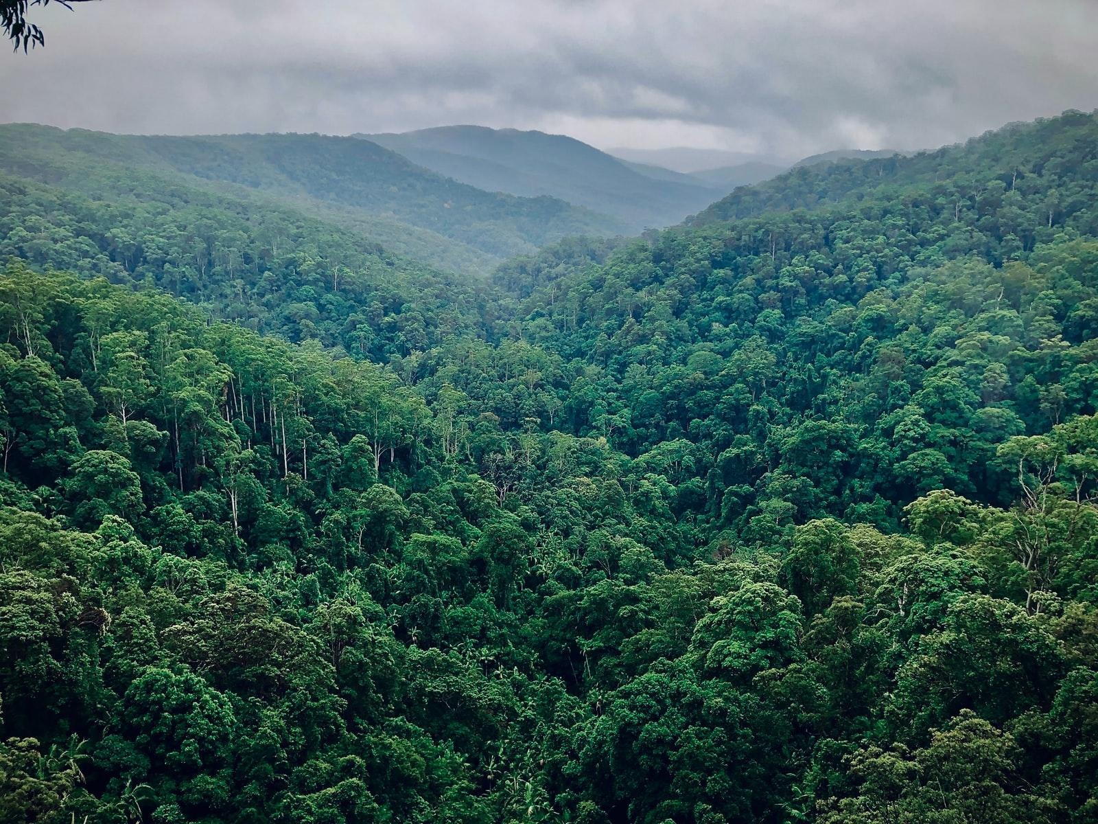 Política Ambiental y Climática