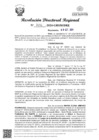 Vista preliminar de documento RDR Nº 3082-2024-GRSM-DRE