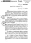 Vista preliminar de documento R.A.N.250-2024-INSN-OEA