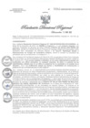 Vista preliminar de documento RDR0382-2020GOB-REG-HVCADIRESA