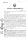 Vista preliminar de documento RDR0396-2020GOB-REG-HVCADIRESA
