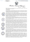 Vista preliminar de documento RDR0411-2020GOB-REG-HVCADIRESA