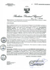 Vista preliminar de documento RDR0489-2020GOB-REG-HVCADIRESA