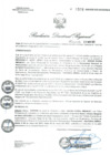 Vista preliminar de documento RDR0528-2020GOB-REG-HVCADIRESA