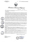Vista preliminar de documento RDR0894-2020GOB-REG-HVCADIRESA